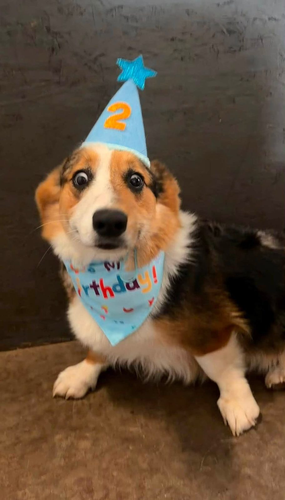 Birthday parties